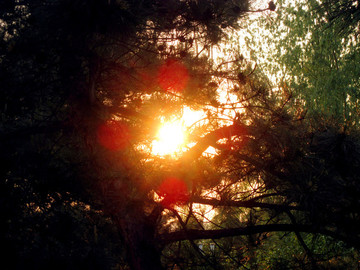 山影夕陽(yáng)村