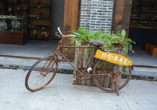 老自行車