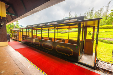 森林小火車車廂