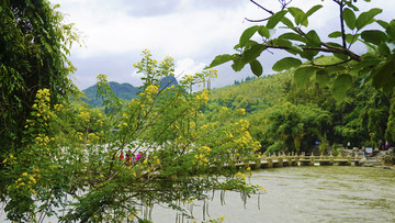 天星橋景區(qū)風光