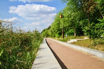 人行道