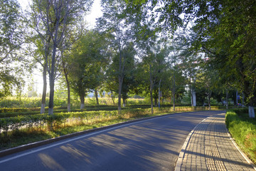林蔭道