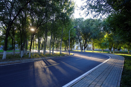 林蔭道
