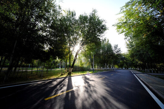 綠色公路