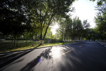 綠色公路