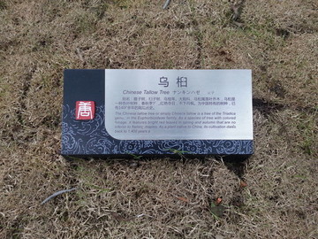 樹銘牌
