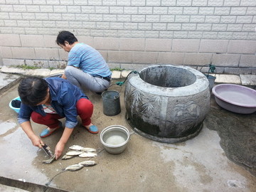 揚州古井