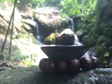 石龜品茶