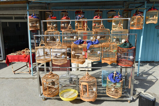 鳥籠