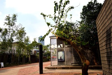 創(chuàng)意