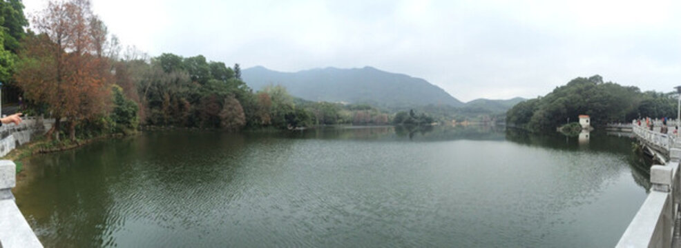 仙湖植物園