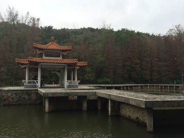 仙湖植物園