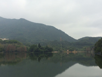 仙湖植物園