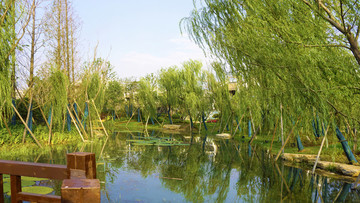 銅官窯景區(qū)風(fēng)景