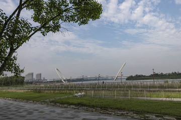 南京臨江公園風(fēng)光