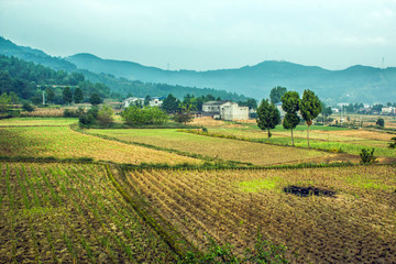 鄉(xiāng)村田野