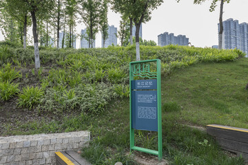 南京臨江公園風光