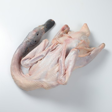 鴨肉