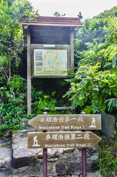 香港西貢郊野公園麥理浩徑