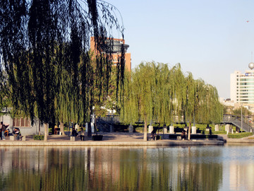 湖邊美景