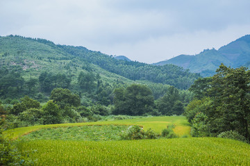 山嶺風(fēng)光