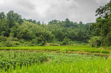 山嶺風(fēng)光