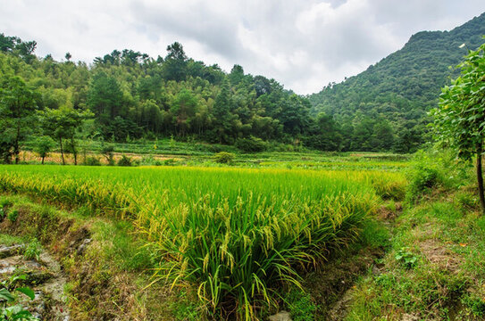 山嶺風(fēng)光