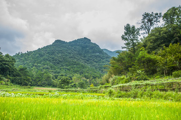 山嶺風(fēng)光