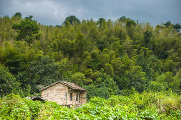 山嶺風(fēng)光