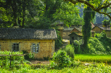 山林與小屋