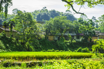 山林小屋