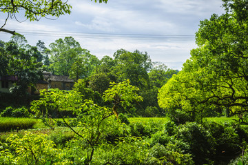 山林小屋