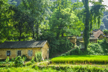 山林與小屋