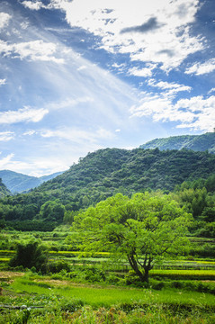 山野風(fēng)光