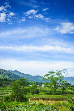 山野風(fēng)光