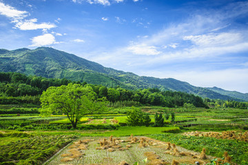 山野風(fēng)光