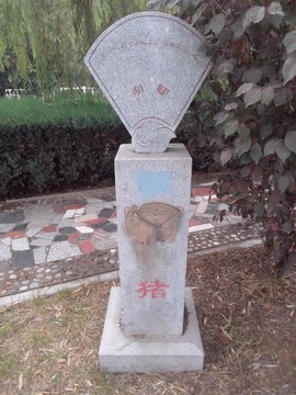 豬