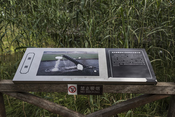 南京魚(yú)嘴濕地公園風(fēng)光