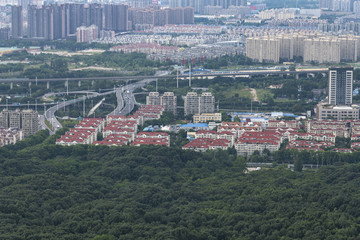 紫金山上看南京