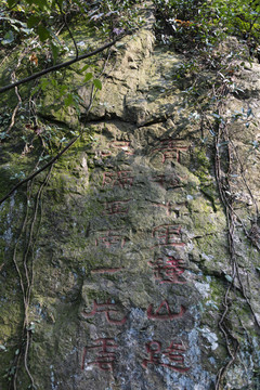 紫金山風(fēng)光