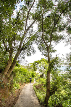 山間小路