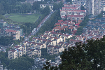 紫金山上看南京