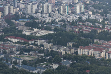 紫金山上看南京