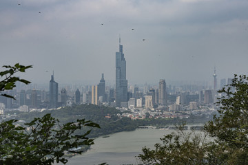 紫金山上看南京