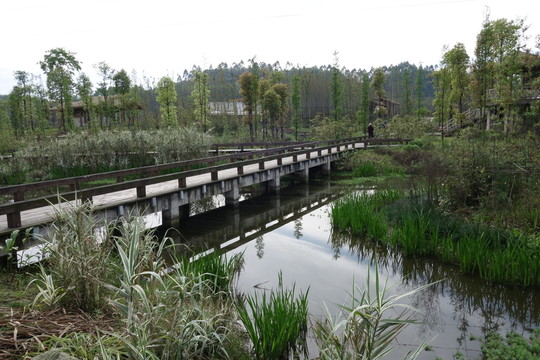 眉山濕地公園