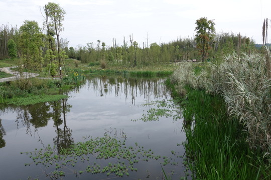 眉山濕地公園