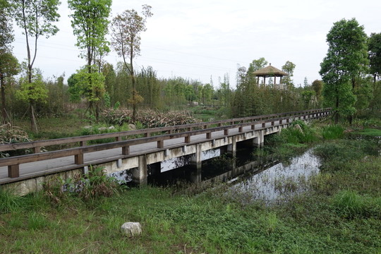 眉山濕地公園