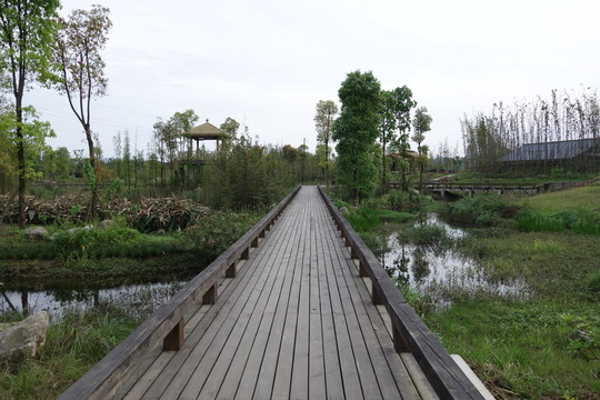 眉山濕地公園