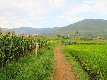 鄉(xiāng)間小路