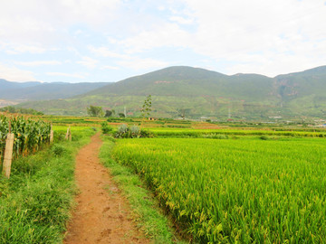 鄉(xiāng)間小路